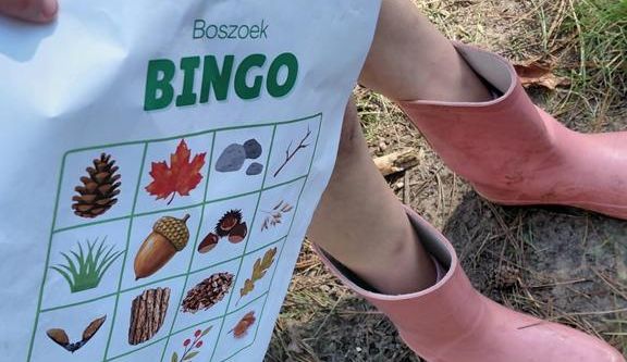 bosdag